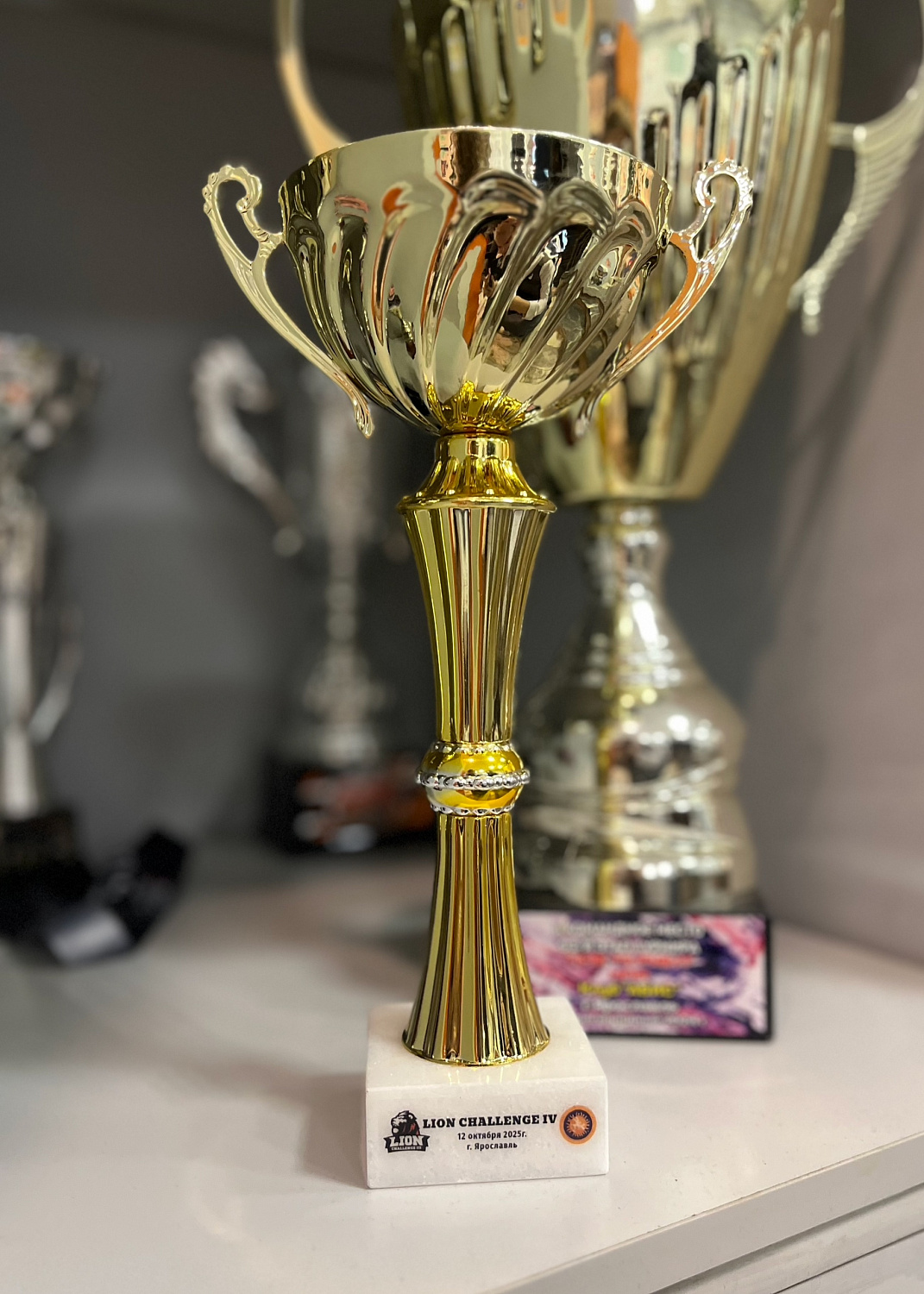 Открытый турнир по грэпплингу Lion Challenge IV
